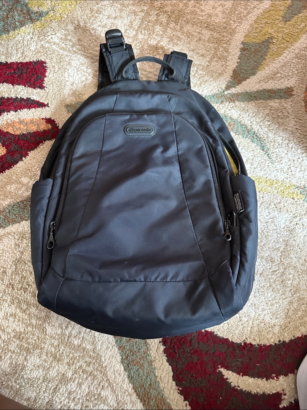Pacsafe Black Men's Secure Everyday Backpack